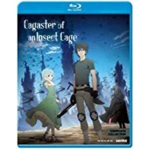 Cagaster Of An Insect Cage